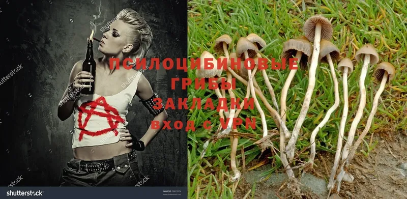 Галлюциногенные грибы MAGIC MUSHROOMS  blacksprut как зайти  Лабытнанги 